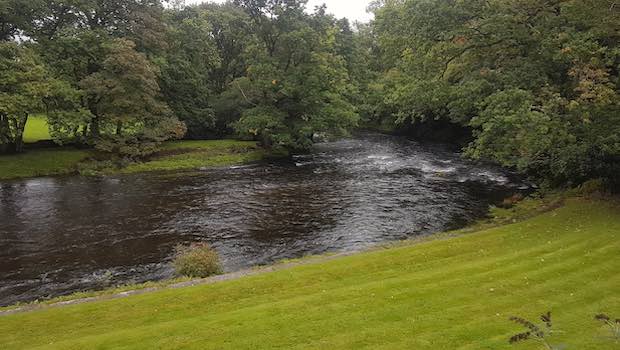 Fluss mit Wiese und Biegung