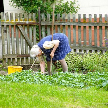 alte Frau gebückt im Garten