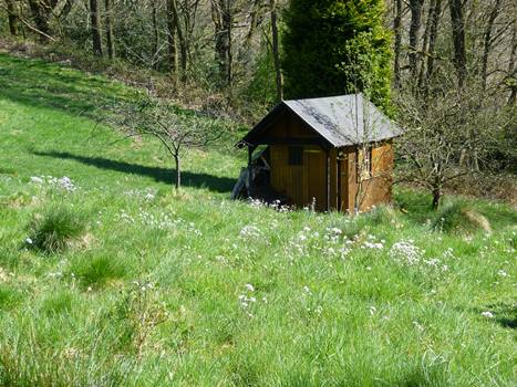 Holzhütte in Wiese